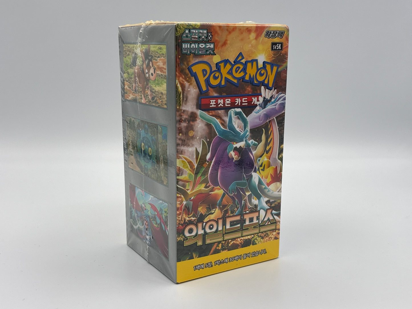 Pokémon - Wild Force Display koreanisch