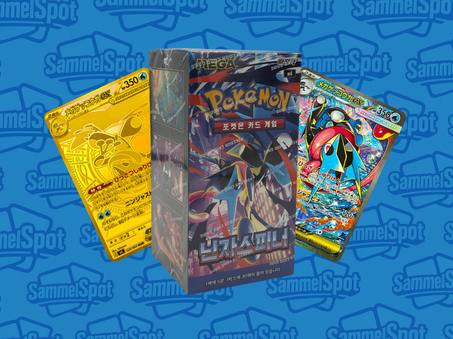 Pokémon – Ninja Spinner (Koreanisch)